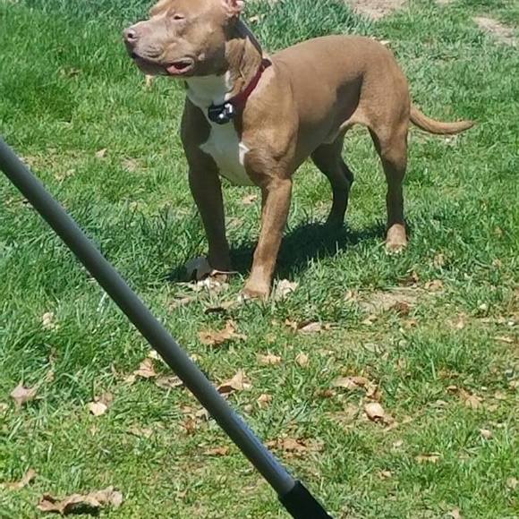 Meet your Posher, Arduino - Picture 1 of 1